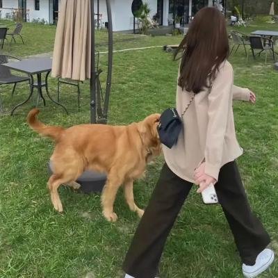 爱情终站